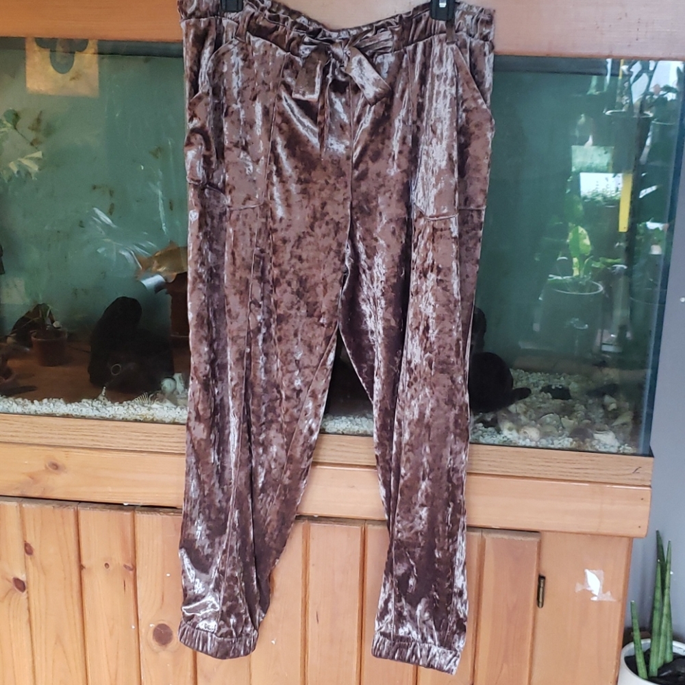 Velvet Gray Jogger Pants